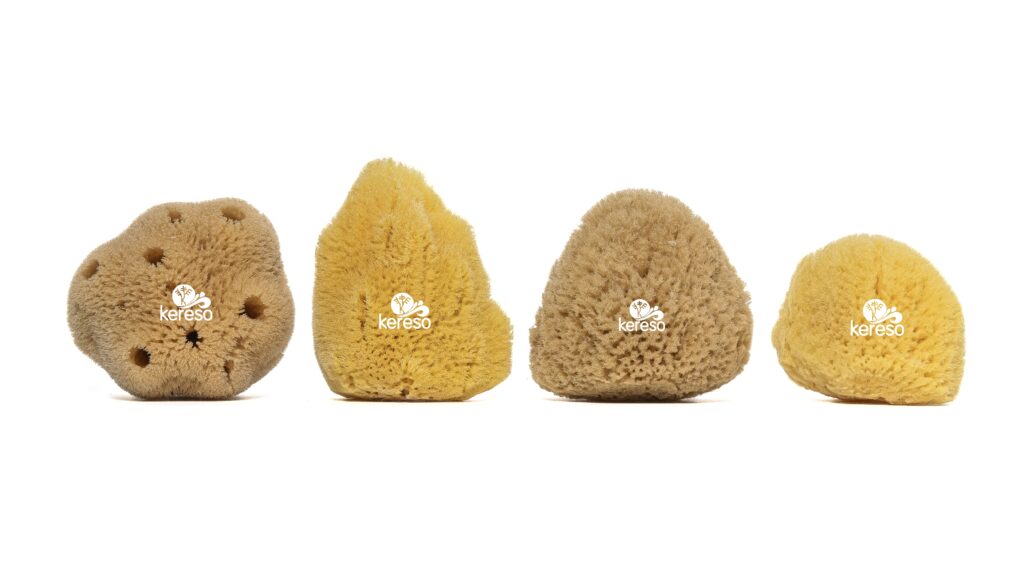 Types of sea sponges for bathing