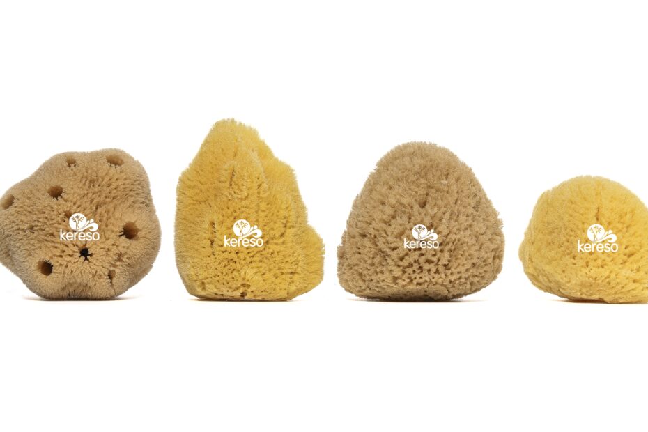 Types of sea sponges for bathing